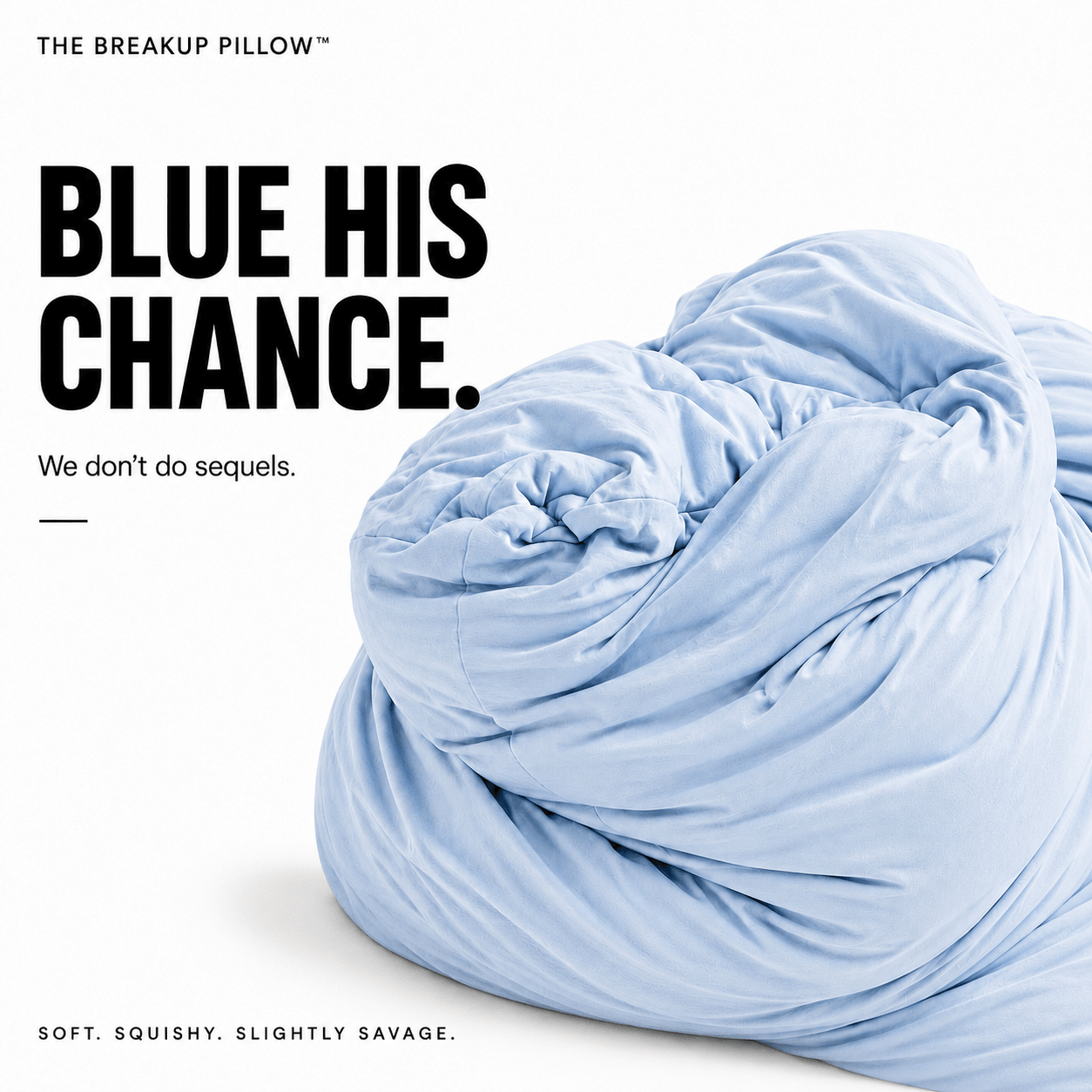 A light blue pillow shown in a styled product graphic with large black text reading 'BLUE HIS CHANCE.' and smaller copy on a white background.